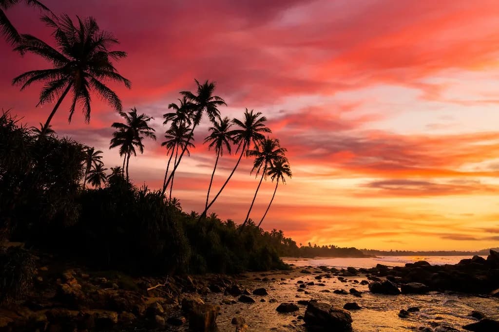 Sri Lanka landscape