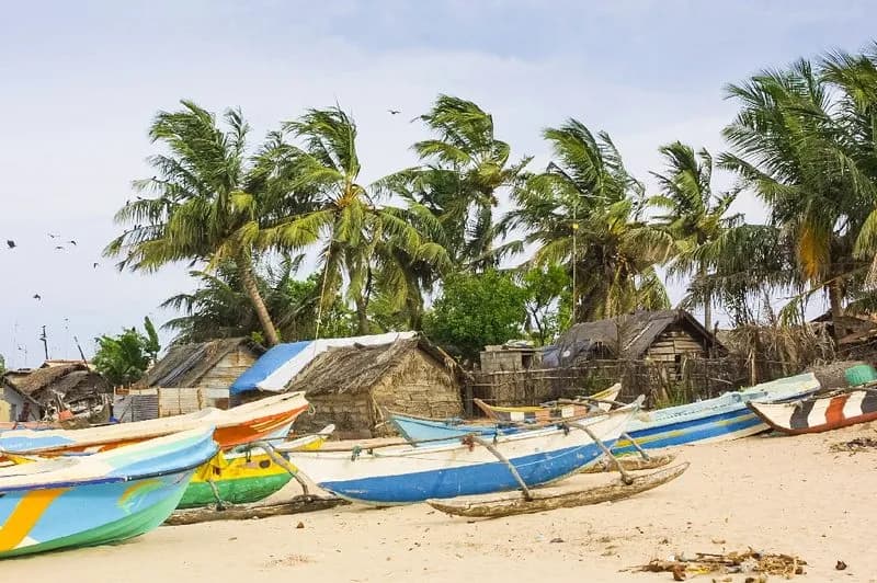 Fisheries & Coconut Industry