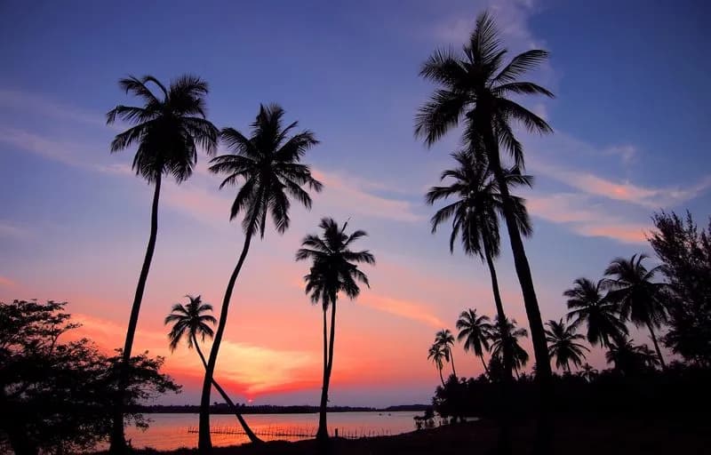 Beach Leisure and Water Activities