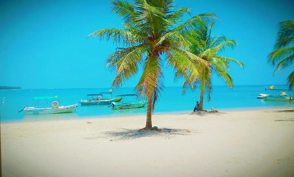 Beach Leisure Day