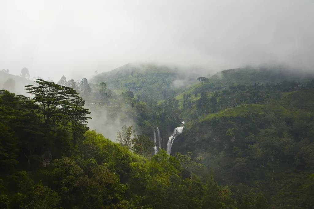 Tea Country & Scenic Train Journey