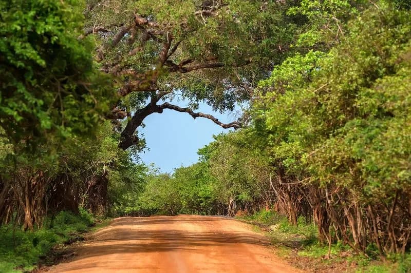 Southern Coast Journey